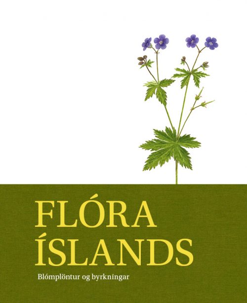 Flóra Íslands – blómplöntur og byrkningar