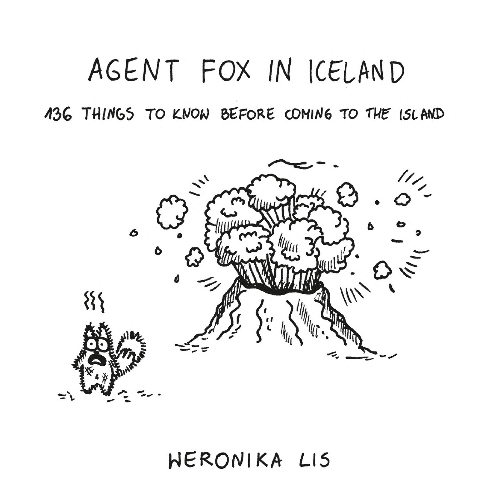 Agent Fox in Iceland