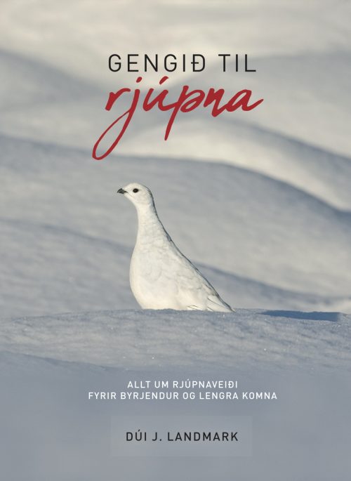 Gengið til rjúpna