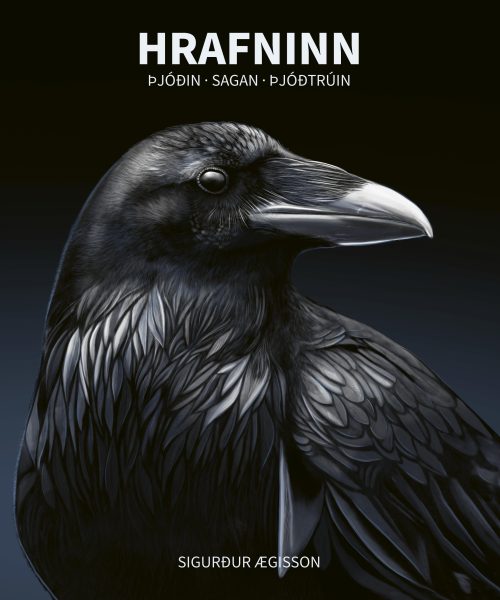 Hrafninn