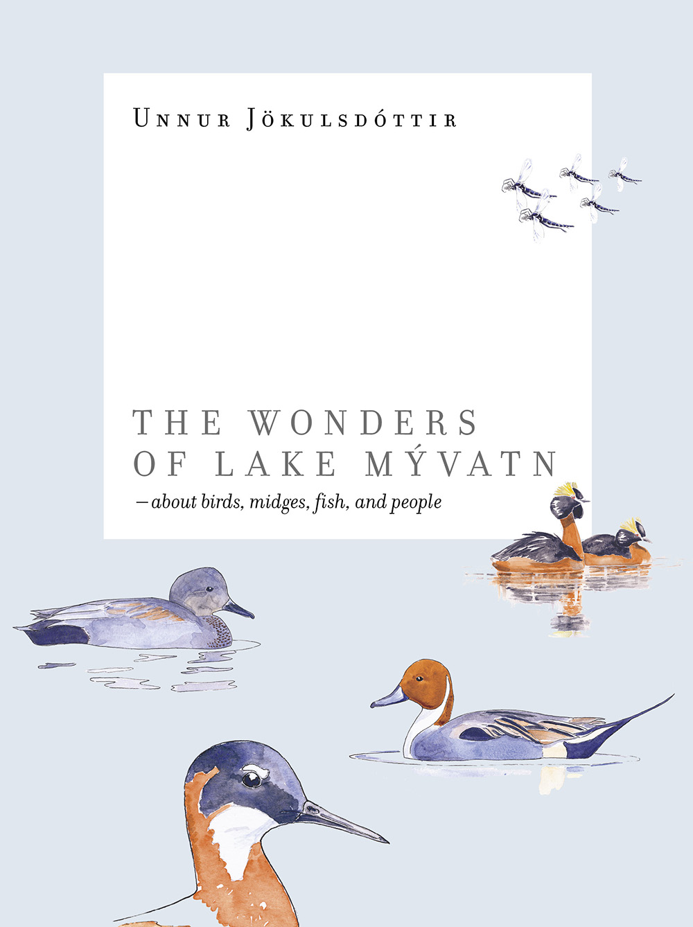 The_wonders_of_lake_Myvatn_72